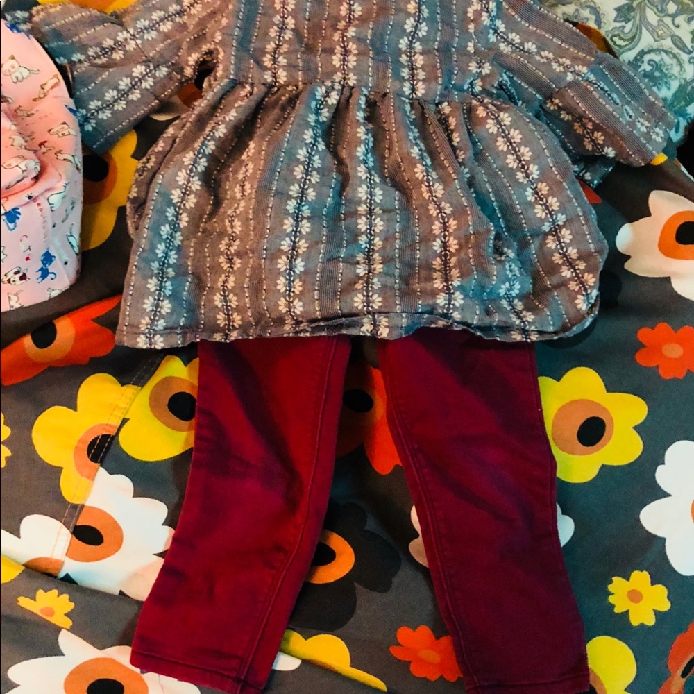 Adorable Toddler  Girl 2 piece set